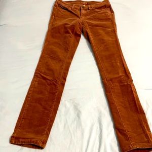 Ann Taylor Loft Corduroy